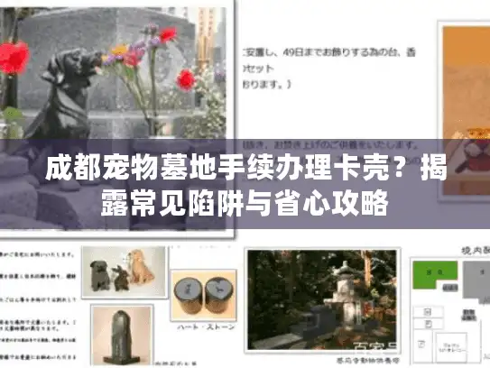 成都宠物墓地手续办理卡壳？揭露常见陷阱与省心攻略