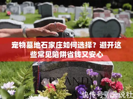 宠物墓地石家庄如何选择？避开这些常见陷阱省钱又安心