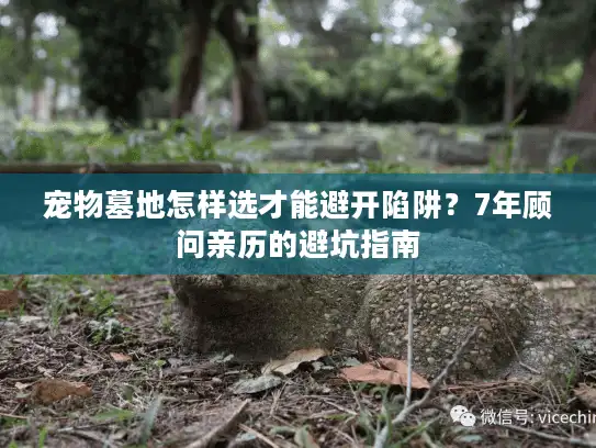 宠物墓地怎样选才能避开陷阱?7年顾问亲历的避坑指南 宠物墓地怎样选才能避开陷阱?7年顾问亲历的避坑指南