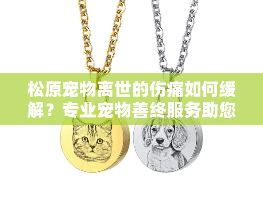 松原宠物离世的伤痛如何缓解？专业宠物善终服务助您安心告别