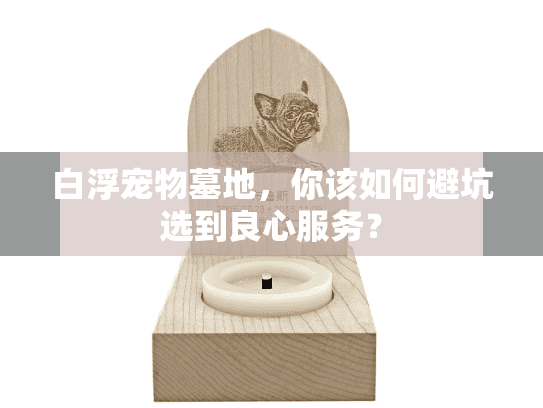 白浮宠物墓地，你该如何避坑选到良心服务？
