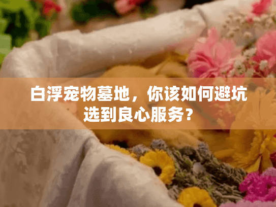 白浮宠物墓地，你该如何避坑选到良心服务？