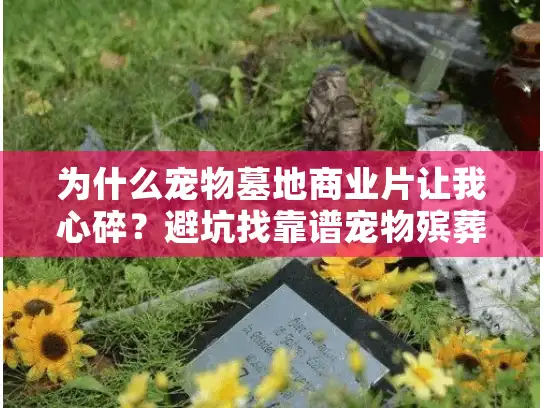 为什么宠物墓地商业片让我心碎？避坑找靠谱宠物殡葬服务的实战秘诀