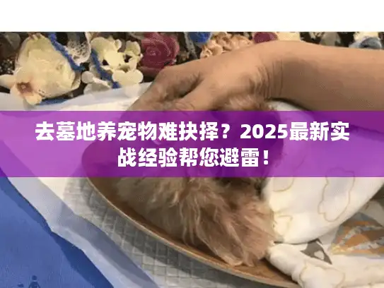 去墓地养宠物难抉择？2025最新实战经验帮您避雷！