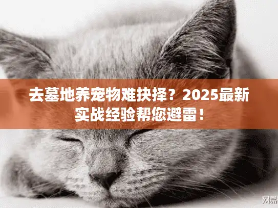 去墓地养宠物难抉择？2025最新实战经验帮您避雷！