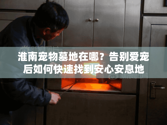 淮南宠物墓地在哪？告别爱宠后如何快速找到安心安息地