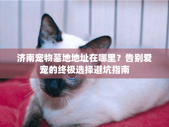 济南宠物墓地地址在哪里？告别爱宠的终极选择避坑指南