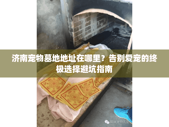 济南宠物墓地地址在哪里？告别爱宠的终极选择避坑指南