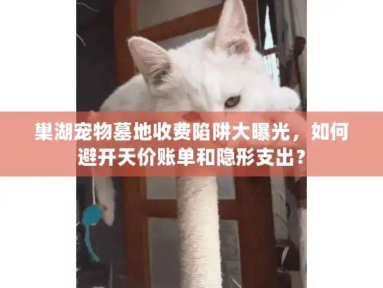 巢湖宠物墓地收费陷阱大曝光，如何避开天价账单和隐形支出？