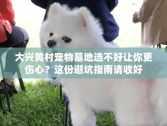 大兴黄村宠物墓地选不好让你更伤心?这份避坑指南请收好 大兴黄村宠物墓地选不好让你更伤心?这份避坑指南请收好
