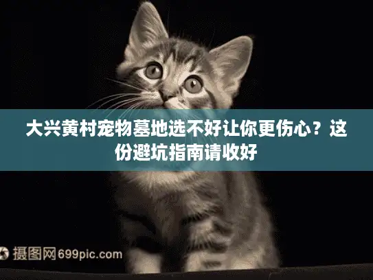 大兴黄村宠物墓地选不好让你更伤心?这份避坑指南请收好 大兴黄村宠物墓地选不好让你更伤心?这份避坑指南请收好