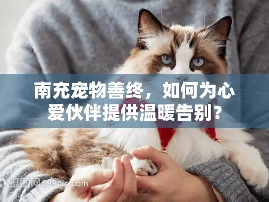 南充宠物善终,如何为心爱伙伴提供温暖告别? 南充宠物善终,如何为心爱伙伴提供温暖告别?