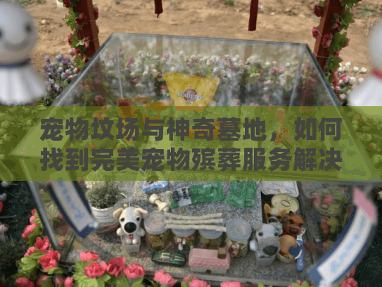宠物坟场与神奇墓地，如何找到完美宠物殡葬服务解决你的困惑？