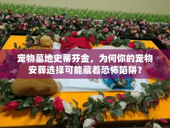 宠物墓地史蒂芬金，为何你的宠物安葬选择可能藏着恐怖陷阱？