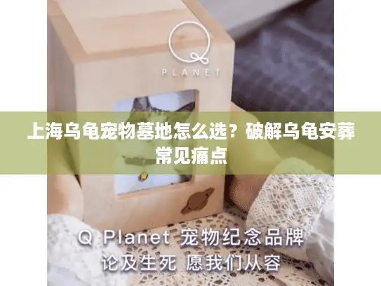 上海乌龟宠物墓地怎么选？破解乌龟安葬常见痛点