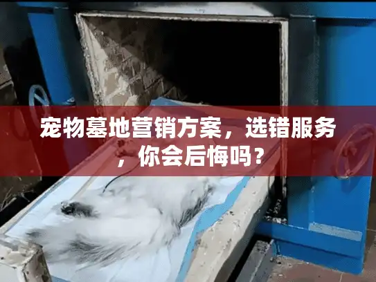 宠物墓地营销方案，选错服务，你会后悔吗？
