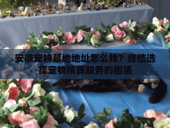 安徽宠物墓地地址怎么找？终结选择宠物殡葬服务的困惑