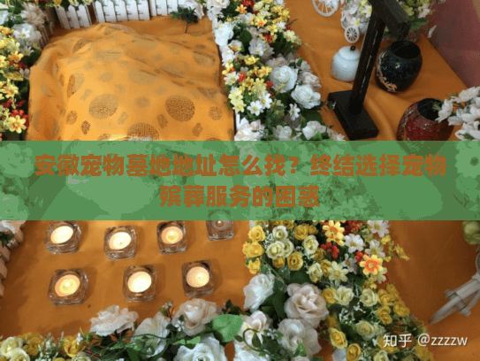 安徽宠物墓地地址怎么找？终结选择宠物殡葬服务的困惑