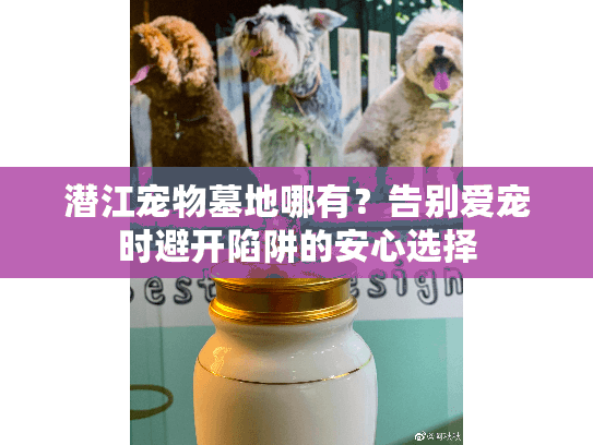 潜江宠物墓地哪有？告别爱宠时避开陷阱的安心选择