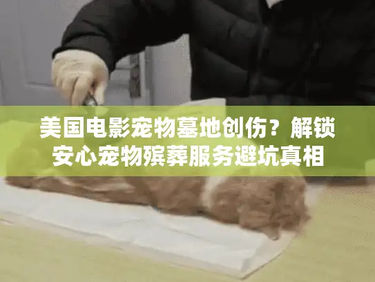 美国电影宠物墓地创伤？解锁安心宠物殡葬服务避坑真相