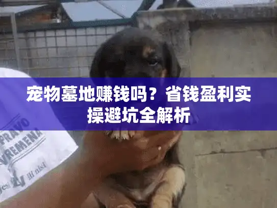 宠物墓地赚钱吗？省钱盈利实操避坑全解析