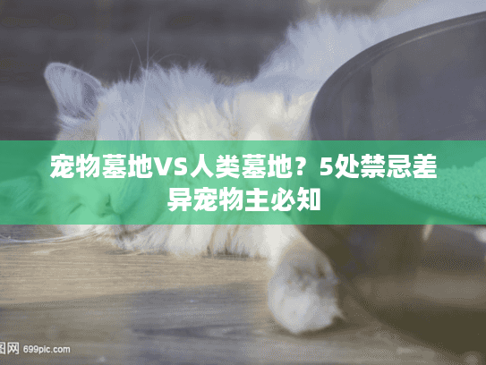 宠物墓地VS人类墓地？5处禁忌差异宠物主必知