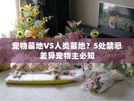 宠物墓地VS人类墓地？5处禁忌差异宠物主必知