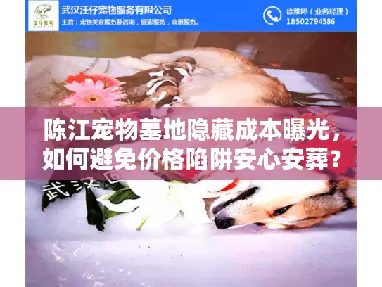 陈江宠物墓地隐藏成本曝光，如何避免价格陷阱安心安葬？