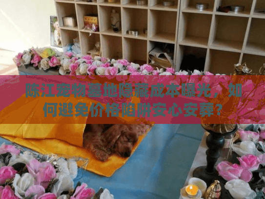 陈江宠物墓地隐藏成本曝光，如何避免价格陷阱安心安葬？