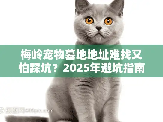 梅岭宠物墓地地址难找又怕踩坑？2025年避坑指南与实地经验分享