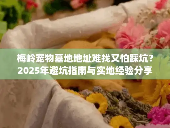 梅岭宠物墓地地址难找又怕踩坑？2025年避坑指南与实地经验分享