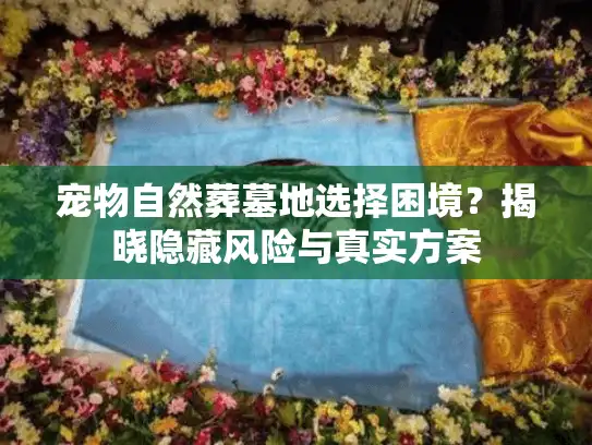 宠物自然葬墓地选择困境?揭晓隐藏风险与真实方案 宠物自然葬墓地选择困境?揭晓隐藏风险与真实方案