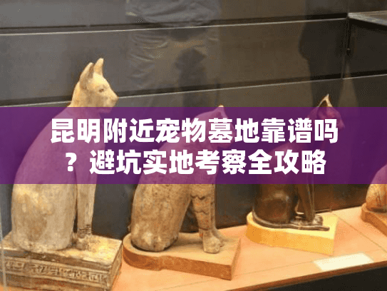 昆明附近宠物墓地靠谱吗？避坑实地考察全攻略