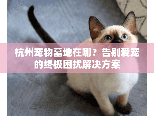 杭州宠物墓地在哪?告别爱宠的终极困扰解决方案 杭州宠物墓地在哪?告别爱宠的终极困扰解决方案