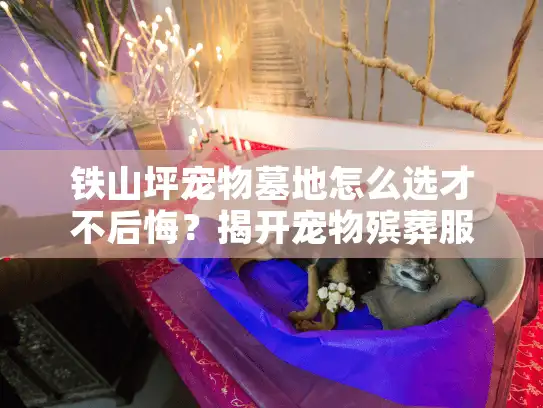 铁山坪宠物墓地怎么选才不后悔？揭开宠物殡葬服务隐藏的坑爹真相