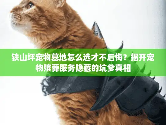 铁山坪宠物墓地怎么选才不后悔？揭开宠物殡葬服务隐藏的坑爹真相