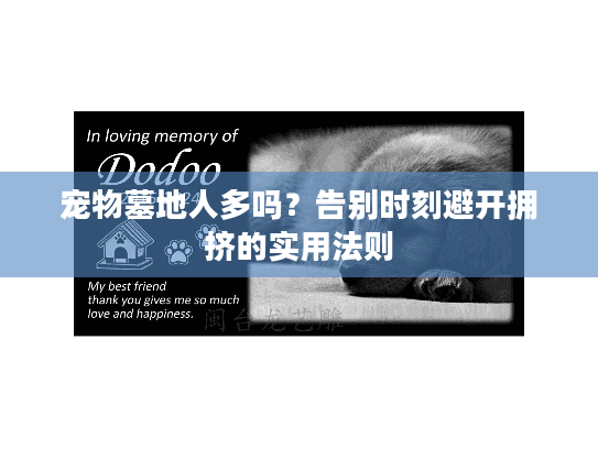 宠物墓地人多吗?告别时刻避开拥挤的实用法则 宠物墓地人多吗?告别时刻避开拥挤的实用法则