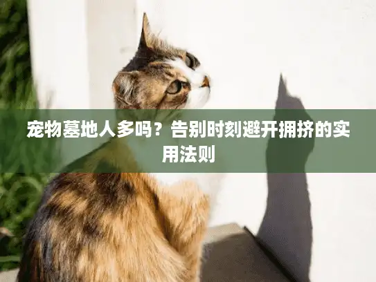 宠物墓地人多吗?告别时刻避开拥挤的实用法则 宠物墓地人多吗?告别时刻避开拥挤的实用法则