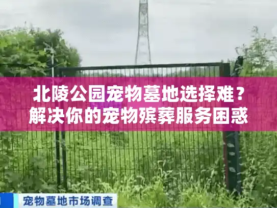 北陵公园宠物墓地选择难？解决你的宠物殡葬服务困惑