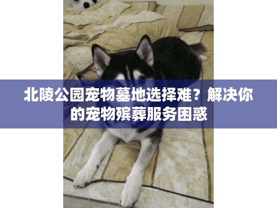 北陵公园宠物墓地选择难？解决你的宠物殡葬服务困惑