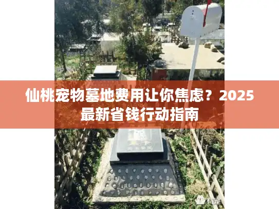 仙桃宠物墓地费用让你焦虑？2025最新省钱行动指南