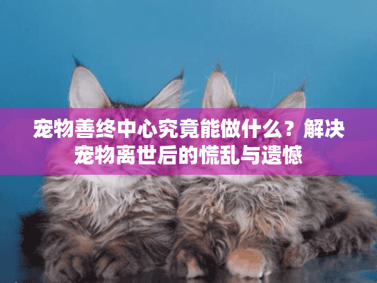 宠物善终中心究竟能做什么？解决宠物离世后的慌乱与遗憾