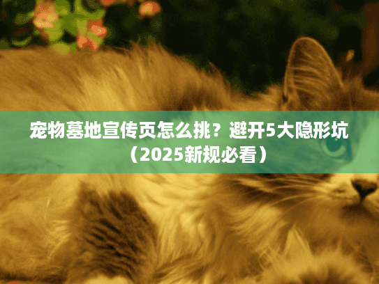 宠物墓地宣传页怎么挑？避开5大隐形坑（2025新规必看）