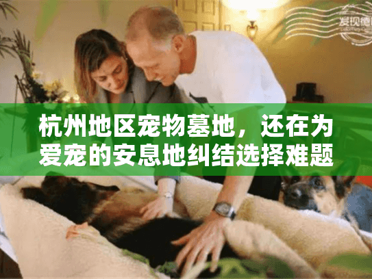杭州地区宠物墓地,还在为爱宠的安息地纠结选择难题吗? 杭州地区宠物墓地,还在为爱宠的安息地纠结选择难题吗?