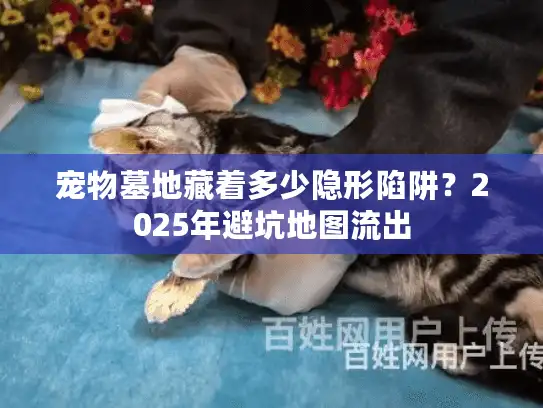 宠物墓地藏着多少隐形陷阱?2025年避坑地图流出 宠物墓地藏着多少隐形陷阱?2025年避坑地图流出