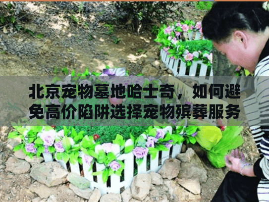 北京宠物墓地哈士奇，如何避免高价陷阱选择宠物殡葬服务？
