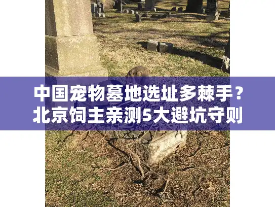 中国宠物墓地选址多棘手?北京饲主亲测5大避坑守则 中国宠物墓地选址多棘手?北京饲主亲测5大避坑守则