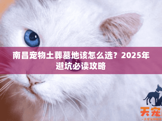 南昌宠物土葬墓地该怎么选？2025年避坑必读攻略