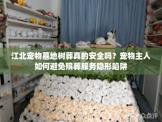 江北宠物墓地树葬真的安全吗？宠物主人如何避免殡葬服务隐形陷阱