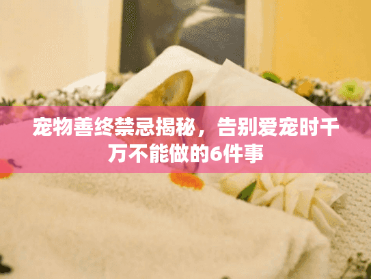 宠物善终禁忌揭秘,告别爱宠时千万不能做的6件事 宠物善终禁忌揭秘,告别爱宠时千万不能做的6件事